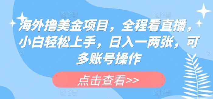 海外撸美金项目，全程看直播，小白轻松上手，日入一两张，可多账号操作|小鸡网赚博客