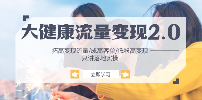 （10871期）大健康 流量 变现2.0：拓高变现 流量/成高客单/低粉高变现/只讲落地实战|小鸡网赚博客