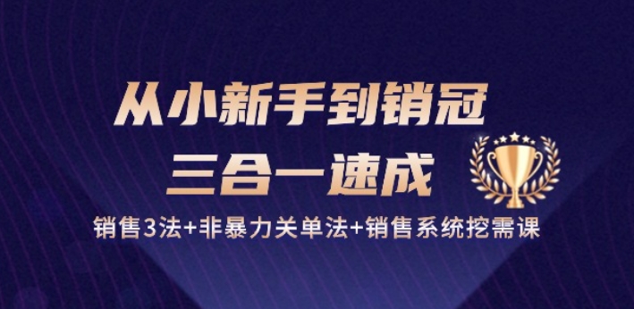 从小新手到销冠 三合一速成：销售3法+非暴力关单法+销售系统挖需课 (27节)|小鸡网赚博客