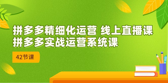 拼多多精细化运营 线上直播课：拼多多实战运营系统课（更新47节）|小鸡网赚博客