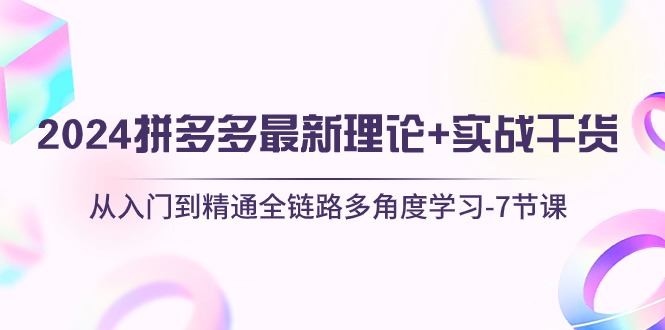 （10816期）2024拼多多 最新理论+实战干货，从入门到精通全链路多角度学习-7节课|小鸡网赚博客