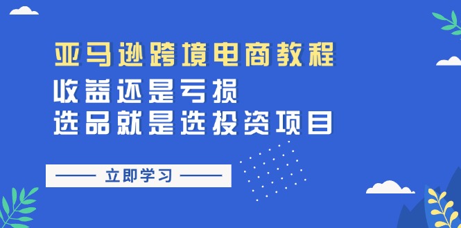 （11432期）亚马逊跨境电商教程：收益还是亏损！选品就是选投资项目|小鸡网赚博客