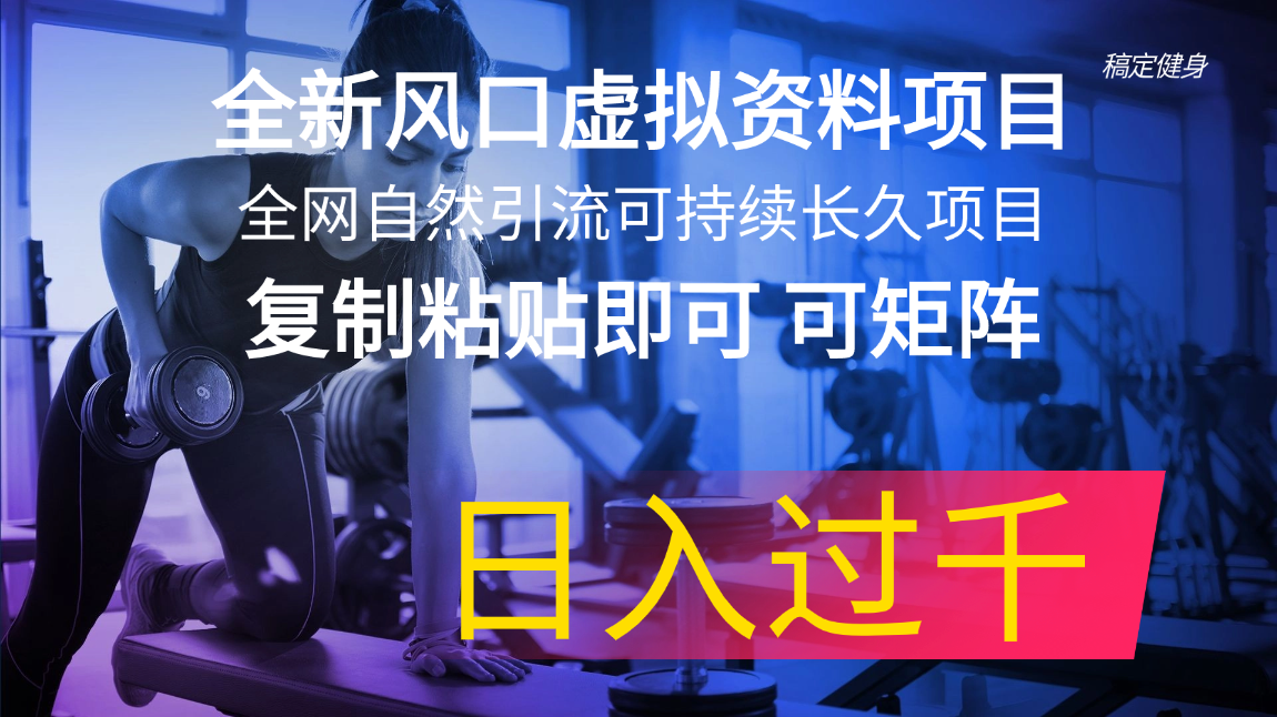 （11587期）全新风口虚拟资料项目 全网自然引流可持续长久项目 复制粘贴即可可矩阵…|小鸡网赚博客