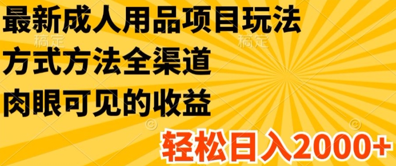 最新成人用品项目玩法，方式方法全渠道，轻松日入2K+|小鸡网赚博客