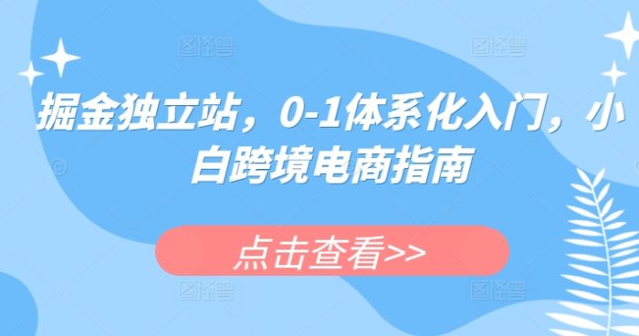 掘金独立站,0-1体系化入门,小白跨境电商指南|小鸡网赚博客