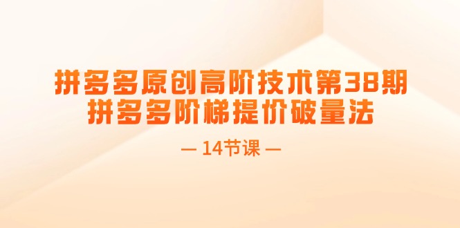 （11704期）拼多多原创高阶技术第38期，拼多多阶梯提价破量法（14节课）|小鸡网赚博客