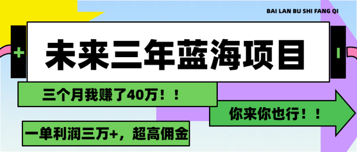 (11716期)未来三年,蓝海赛道,月入3万+|小鸡网赚博客