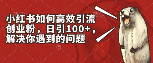 小红书如何高效引流创业粉，日引100+，解决你遇到的问题|小鸡网赚博客