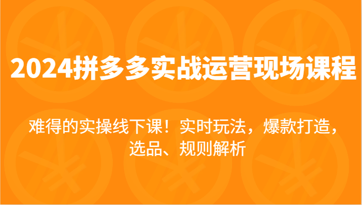 2024拼多多实战运营现场课，实时玩法，爆款打造，选品、规则解析，难得的实操线下课！|小鸡网赚博客
