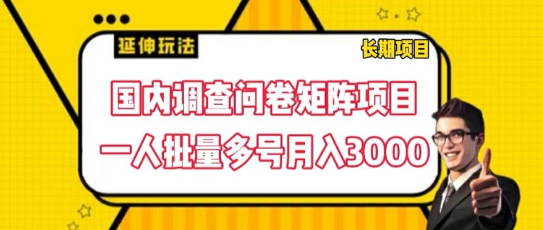 国内调查问卷矩阵项目，一人批量多号月入3000|小鸡网赚博客