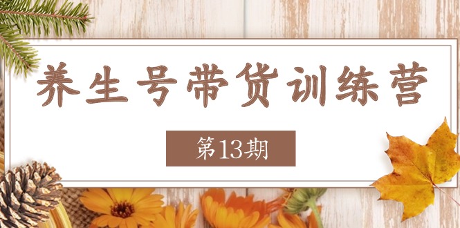 养生号带货训练营【第13期】收益更稳定的玩法，让你带货收益爆炸|小鸡网赚博客