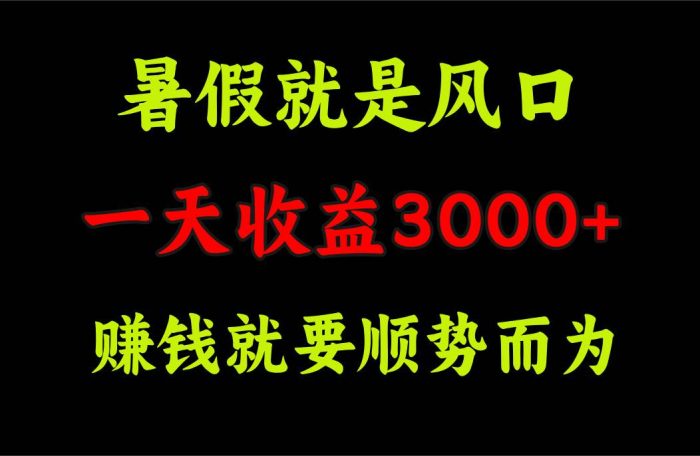 一天收益3000+ 赚钱就是顺势而为，暑假就是风口|小鸡网赚博客