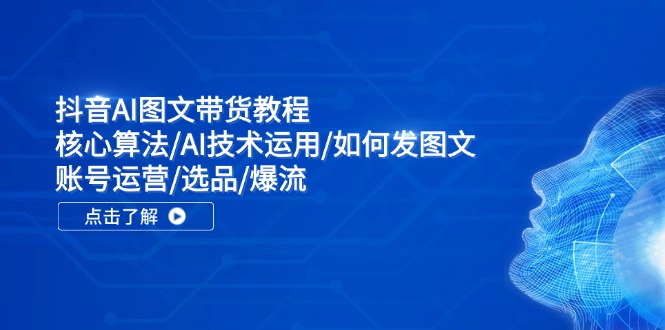 （11958期）抖音AI图文带货教程：核心算法/AI技术运用/如何发图文/账号运营/选品/爆流|小鸡网赚博客