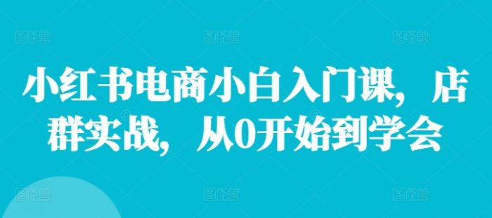 小红书电商小白入门课,店群实战,从0开始到学会|小鸡网赚博客