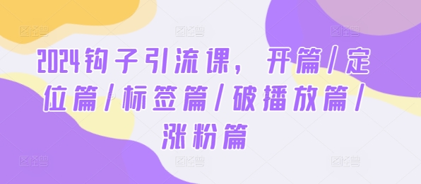 2024钩子引流课，开篇/定位篇/标签篇/破播放篇/涨粉篇|小鸡网赚博客