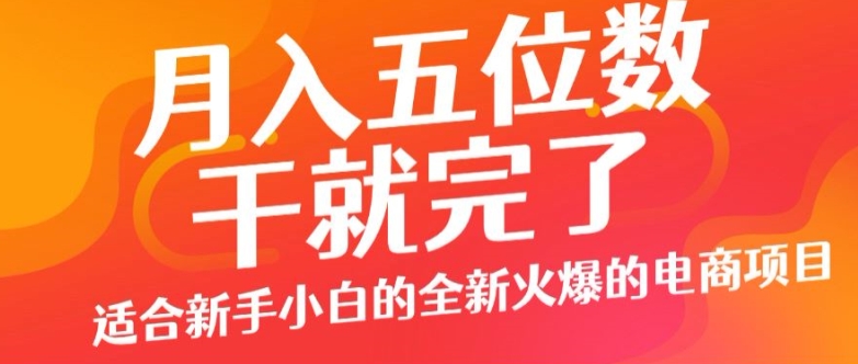 月入五位数，干就完了， 适合新手小白的全新火爆的电商项目|小鸡网赚博客