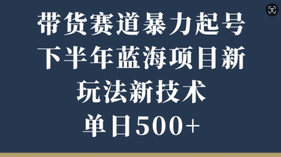 带货赛道暴力起号，下半年蓝海项目，新玩法新技术，单日500+|小鸡网赚博客