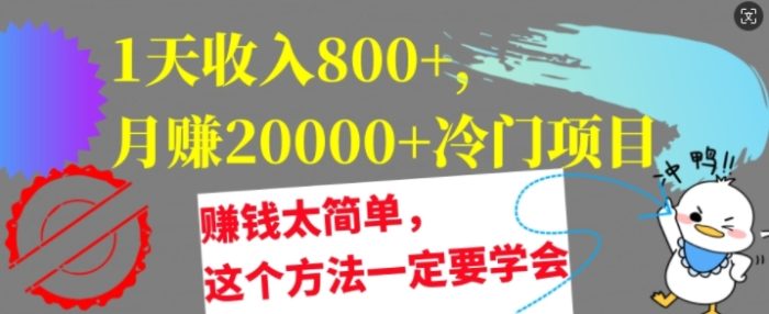 1天收入8张，月赚2w+冷门项目，赚钱太简单，这个方法一定要学会【干货】|小鸡网赚博客