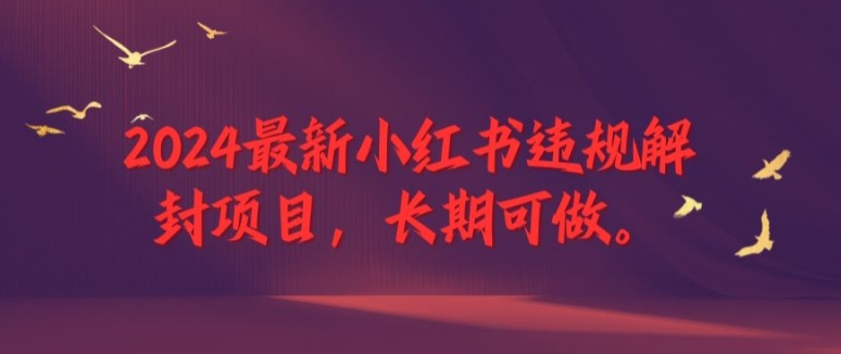 2024最新小红书违规解封项目，长期可做，一个可以做到退休的项目【揭秘】|小鸡网赚博客