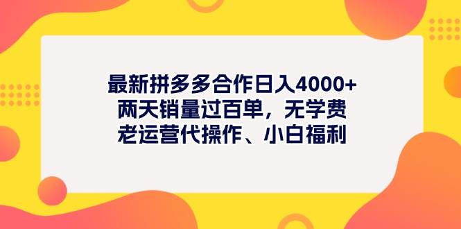 最新拼多多项目日入4000+两天销量过百单，无学费、老运营代操作、小白福利|小鸡网赚博客