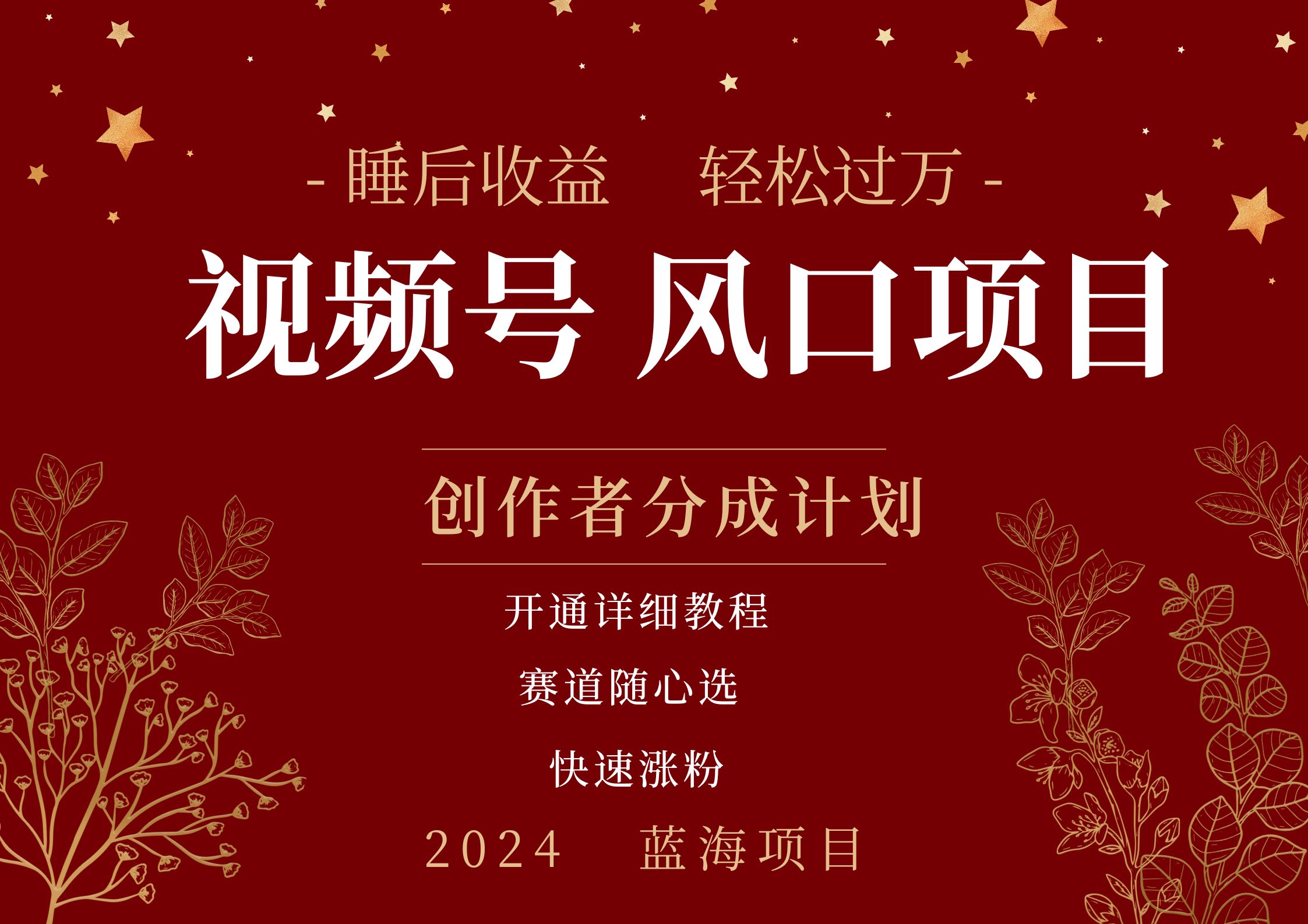 拥有睡眠收益的微信视频号大风口项目，轻松月入过万+，多赛道选择，可矩阵，玩法简单轻松上手|小鸡网赚博客