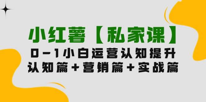 小红薯【私家课】0-1玩赚小红书内容营销，认知篇+营销篇+实战篇（11节课）|小鸡网赚博客