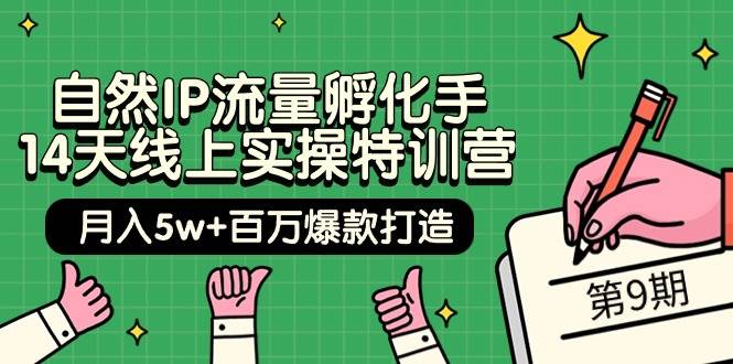 自然IP流量孵化手 14天线上实操特训营【第9期】月入5w+百万爆款打造 (74节)|小鸡网赚博客