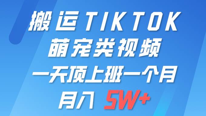 一键搬运TIKTOK萌宠类视频 一部手机即可操作 所有平台均可发布 轻松月入5W+|小鸡网赚博客