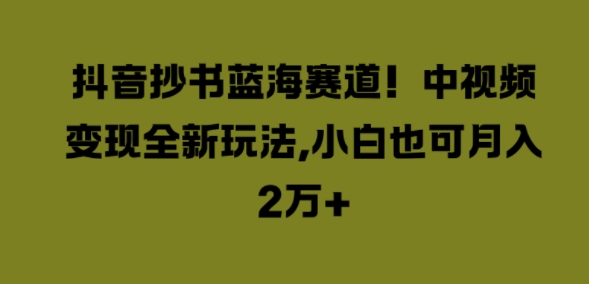 抖音抄书蓝海赛道，中视频变现全新玩法，小白也可月入2W+|小鸡网赚博客