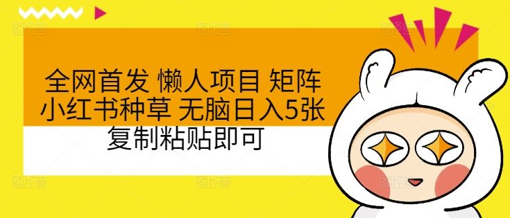 全网首发 懒人项目 矩阵小红书种草 无脑日入5张 复制粘贴即可|小鸡网赚博客