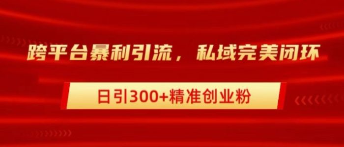 跨平台暴力引流，私域完美闭环，日引100+精准创业粉|小鸡网赚博客
