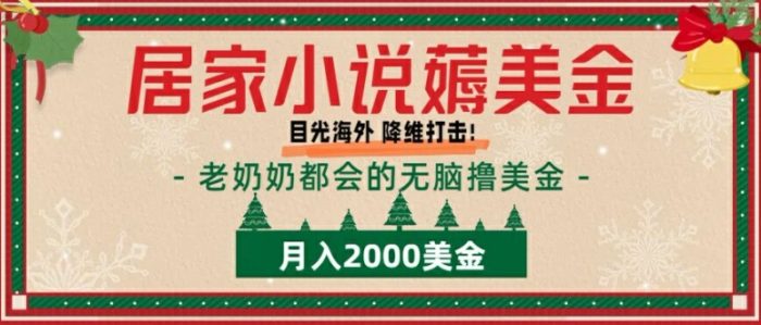 居家小说薅美金，拆解海外撸美金项目月入2000美刀详细指导|小鸡网赚博客
