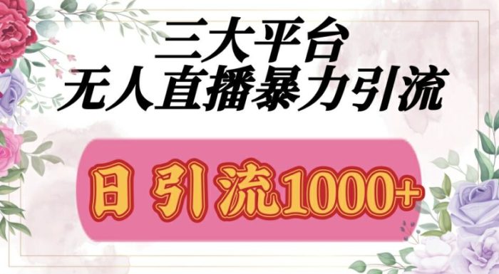 三大平台无人直播引流，吸引精准创业粉|小鸡网赚博客