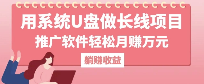 用系统U盘做长线项目，推广软件轻松月入过W|小鸡网赚博客