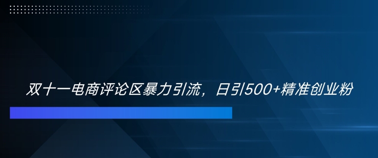 双十一电商评论区暴力引流，日引500+精准创业粉【揭秘】|小鸡网赚博客