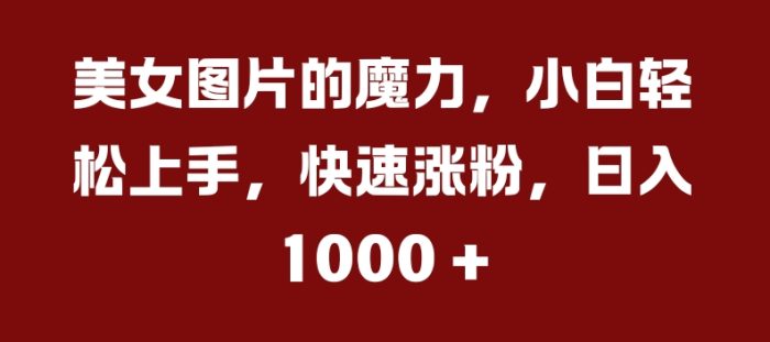 美女图片的魔力，小白轻松上手，快速涨粉，日入几张【揭秘】|小鸡网赚博客
