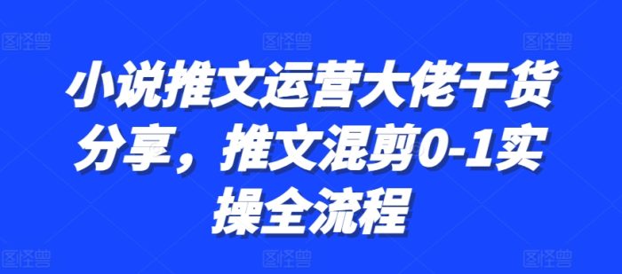 小说推文运营大佬干货分享，推文混剪0-1实操全流程|小鸡网赚博客