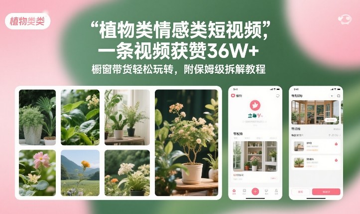 植物类情感类短视频，一条视频获赞36W+，橱窗带货轻松玩转，附保姆级拆解教程|小鸡网赚博客