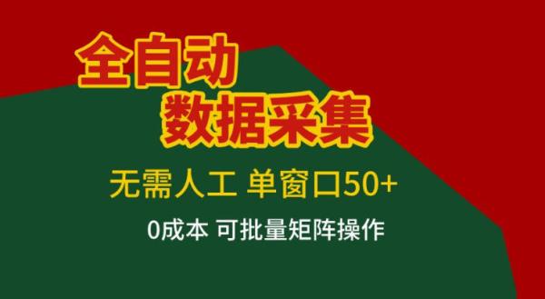 全自动数据采集，无需人工，单窗口50+，0成本可批量矩阵操作【揭秘】|小鸡网赚博客