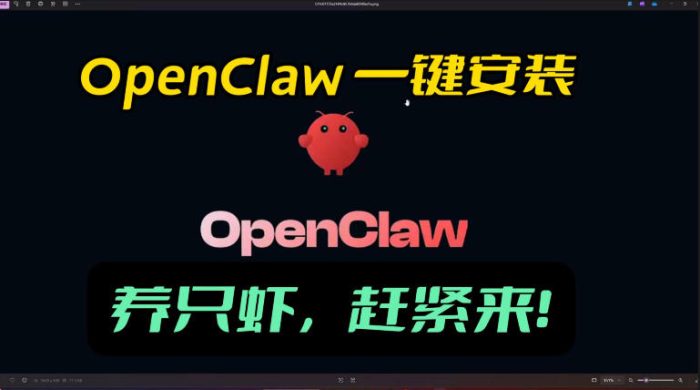 openclaw安装教程和资料，10分钟搞定，一切，让你轻松拥有龙虾|小鸡网赚博客