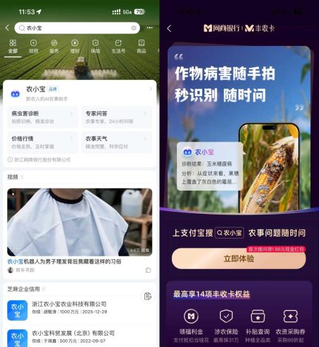 支付宝农小宝首次提问得1.88亓|小鸡网赚博客