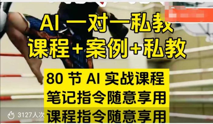 AI指令实战课,课程+案例,80节AI实战课程,笔记指令随意享用,课程指令随意享用(更新26年3月)|小鸡网赚博客