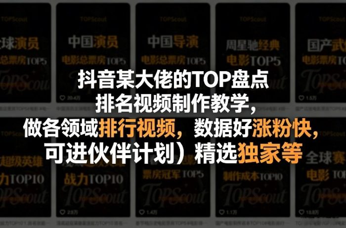 抖音某大佬的TOP盘点排名视频制作，做各领域排行视频，数据好涨粉快，可进伙伴计划＋精选独家等|小鸡网赚博客
