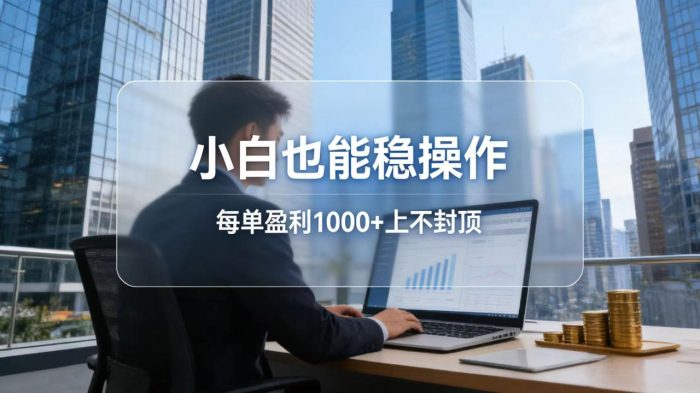 2026新项目,小白也能稳操作,每单盈利1000+上不封顶|小鸡网赚博客