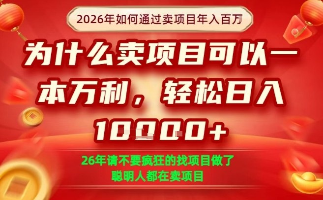 一单净利润1K+，26年想年入100个W，死磕卖项目就够了【揭秘】|小鸡网赚博客