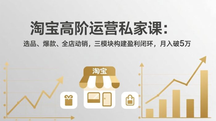 淘宝高阶运营私家课(更新26年4月|小鸡网赚博客