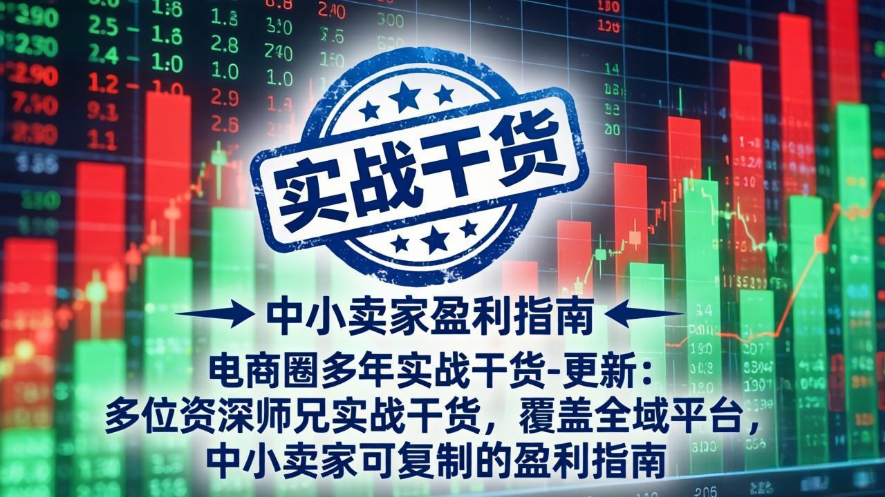 电商圈多年实战干货-更新4月：多位资深师兄实战干货，覆盖全域平台，中小卖家可复制的盈利指南|小鸡网赚博客