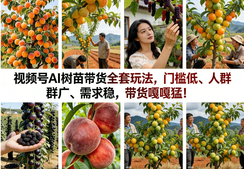 视频号AI树苗带货全套玩法，门槛低、人群广、需求稳，带货嘎嘎猛！(更新0426)|小鸡网赚博客