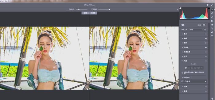 RAW处理Adobe Camera Raw v18.3.0中文版|小鸡网赚博客