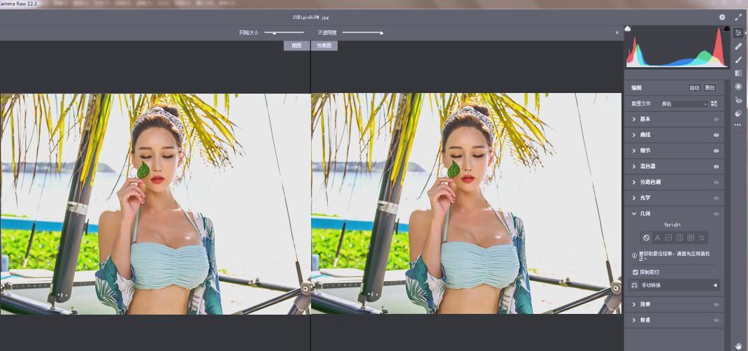 RAW处理Adobe Camera Raw v18.3.0中文版|小鸡网赚博客
